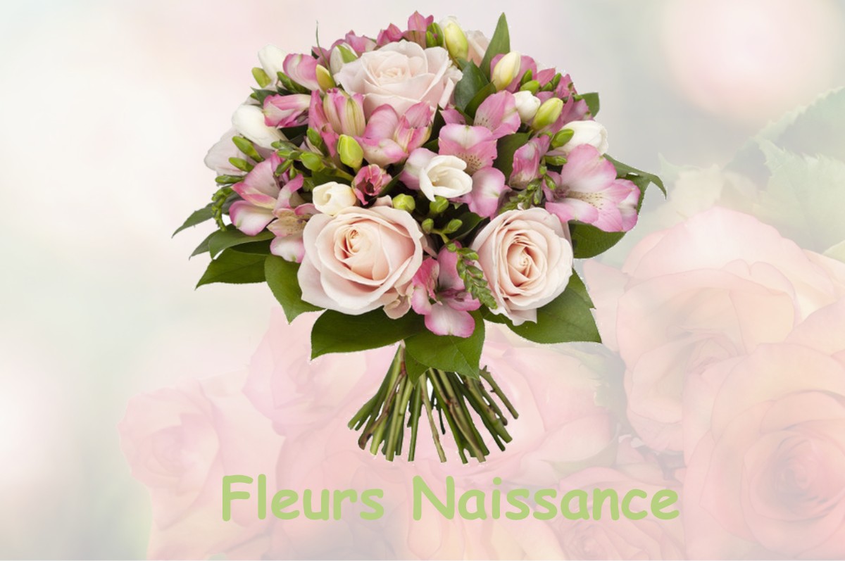 fleurs naissance NOURARD-LE-FRANC